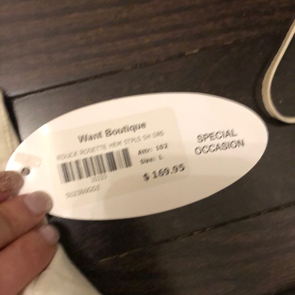 NWT cream coloured mini dress - Picture 5 of 11